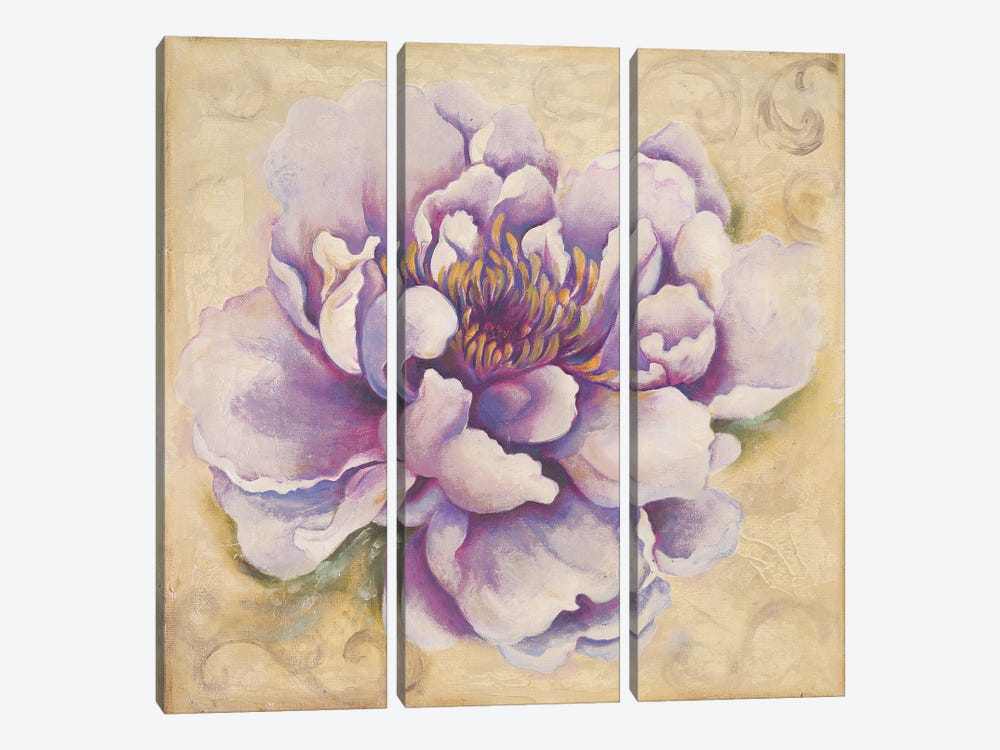 In Bloom II by Patricia Pinto 3-piece Canvas Artwork