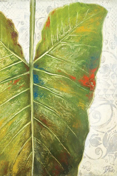 Mafafa I by Patricia Pinto framed canvas print