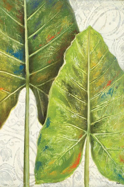 Mafafa II by Patricia Pinto framed canvas print