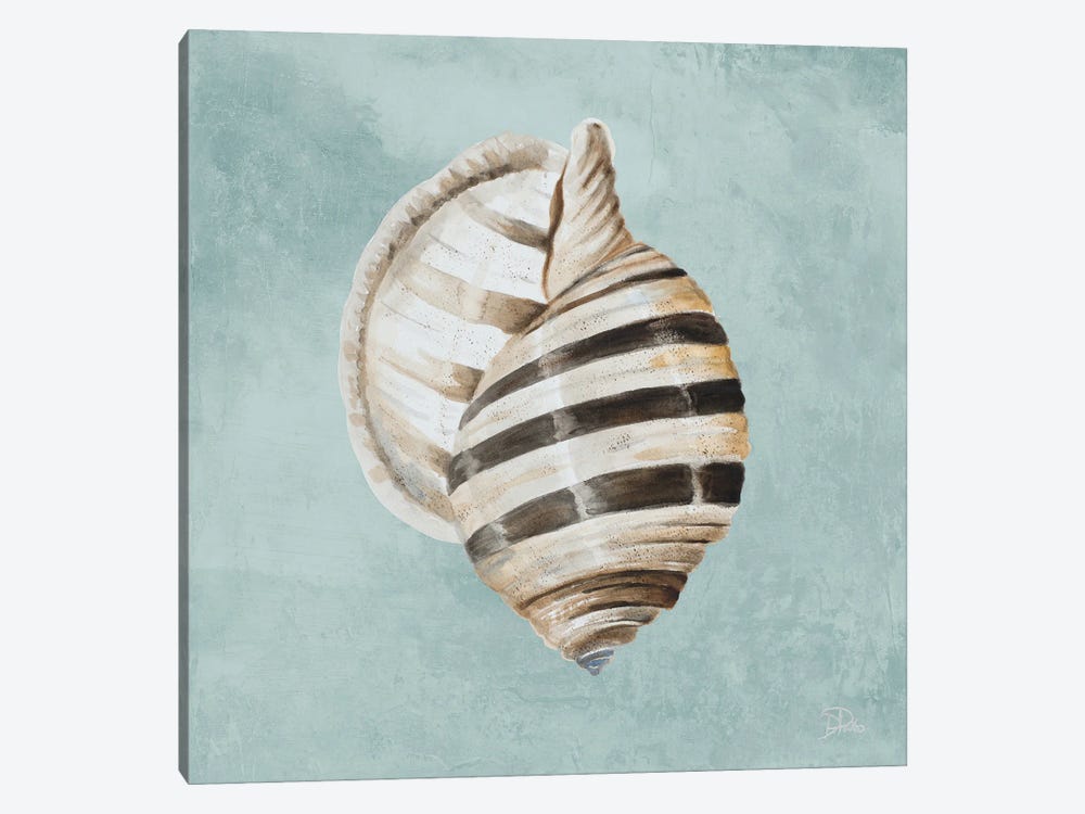 Modern Shell on Teal I by Patricia Pinto 1-piece Canvas Art