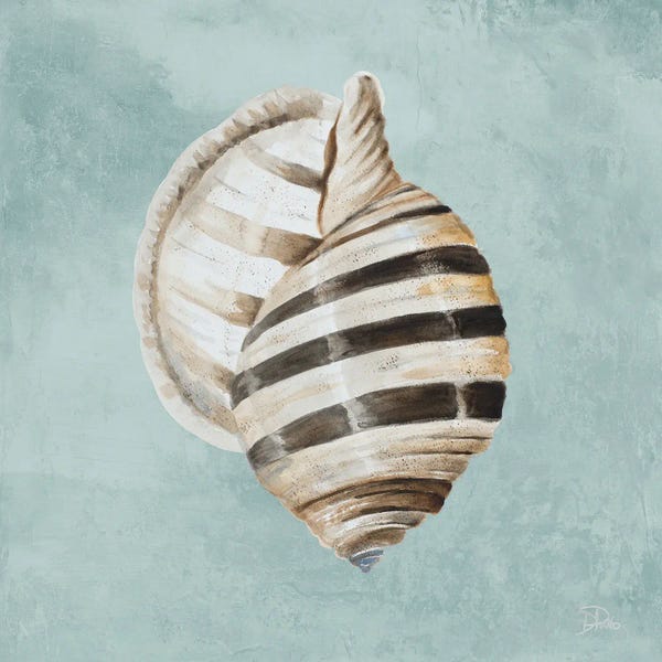Sea Shells: Modern Shell on Teal I by Patricia Pinto