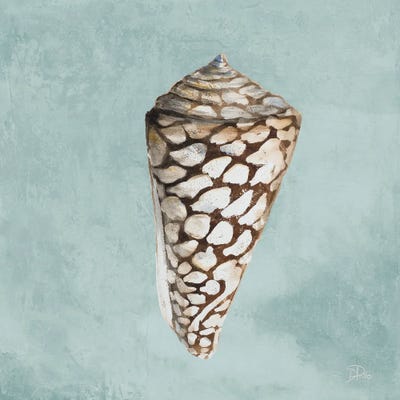 Modern Shell on Teal II by Patricia Pinto framed wall art