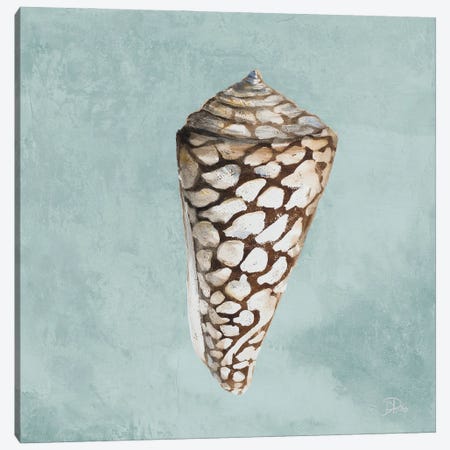 Modern Shell on Teal II Canvas Print #PPI854} by Patricia Pinto Canvas Art