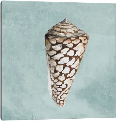 Modern Shell on Teal II Canvas Art Print - Sea Shell Art