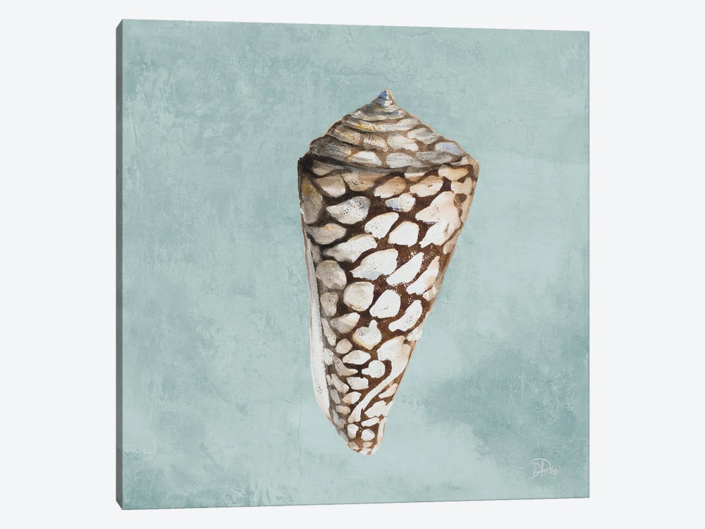 Modern Shell on Teal II by Patricia Pinto 1-piece Canvas Art Print
