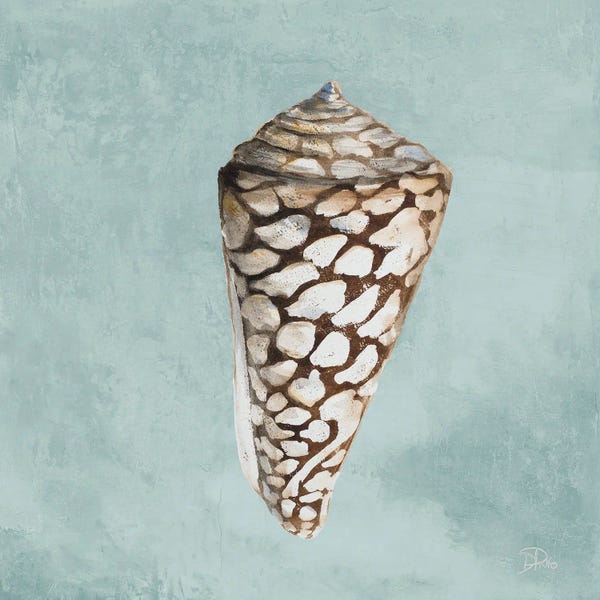 Sea Shells: Modern Shell on Teal II by Patricia Pinto