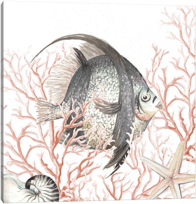 Ocean Fish On Coral Canvas Art Print - Coral Art