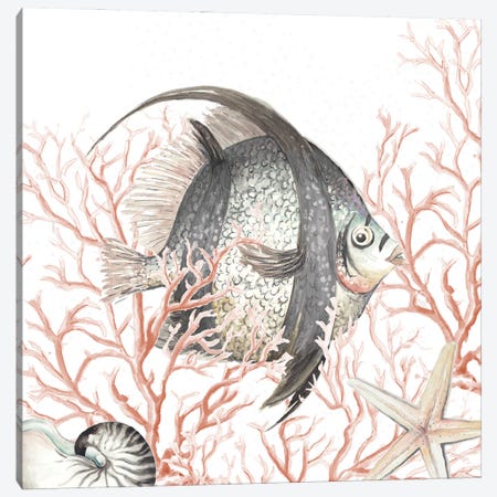 Ocean Fish On Coral Canvas Print #PPI864} by Patricia Pinto Art Print