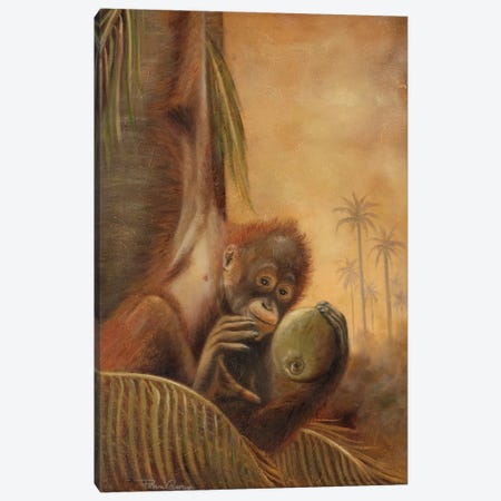 Orangutan I Canvas Print #PPI870} by Patricia Pinto Art Print