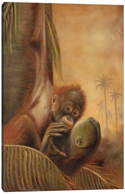 Orangutan I Canvas Art Print - Orangutans