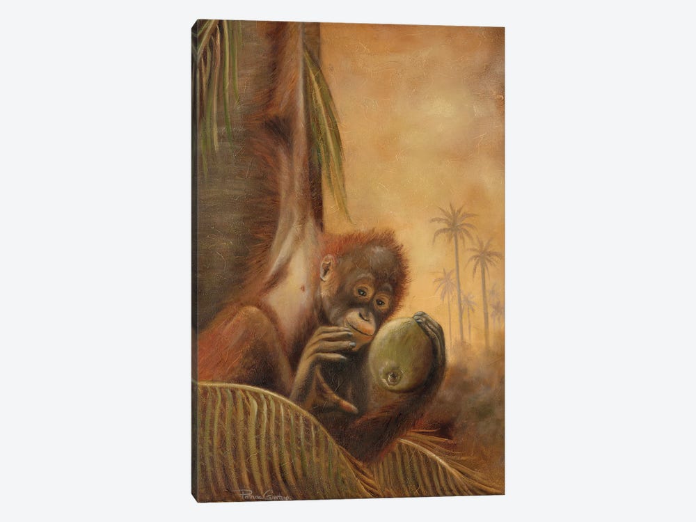 Orangutan I by Patricia Pinto 1-piece Canvas Print