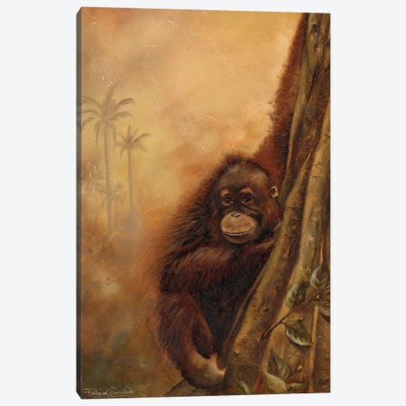 Orangutan II Canvas Print #PPI871} by Patricia Pinto Canvas Print