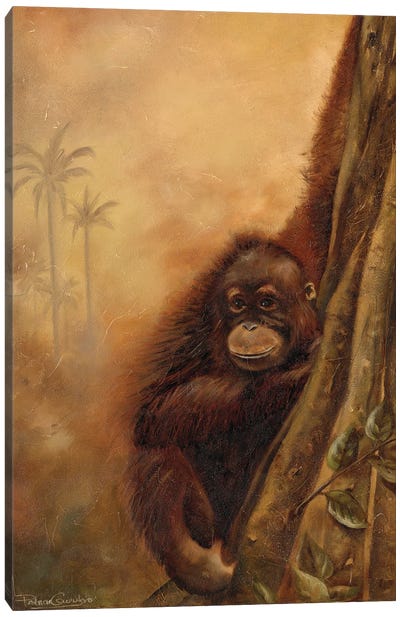 Orangutan II Canvas Art Print - Orangutan Art