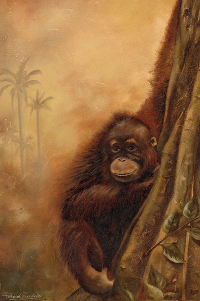 Orangutans: Orangutan II by Patricia Pinto