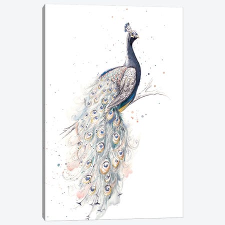 Peacock Canvas Print #PPI873} by Patricia Pinto Art Print