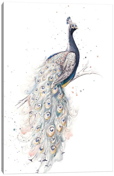 Peacock Canvas Art Print - Patricia Pinto