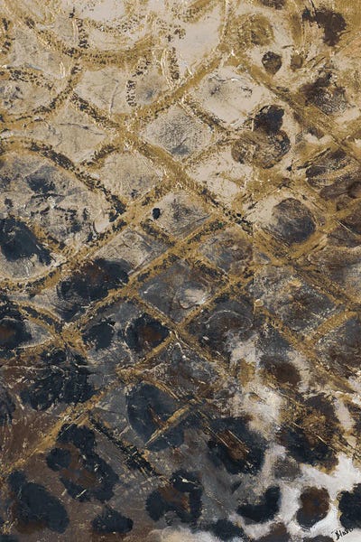 Animal Patterns: Safari Skin by Patricia Pinto