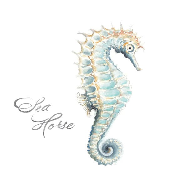Seahorses: Sea Horse by Patricia Pinto