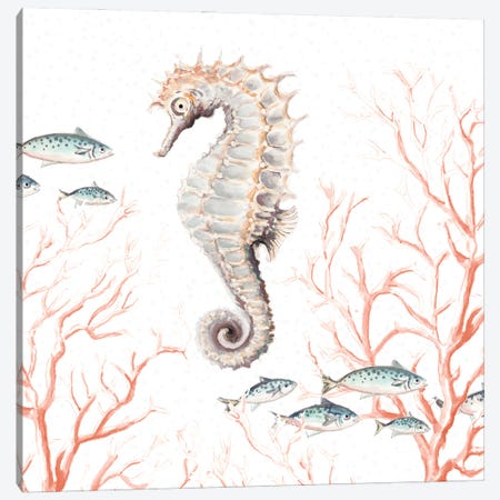 Seahorse On Coral Canvas Print #PPI884} by Patricia Pinto Canvas Art Print