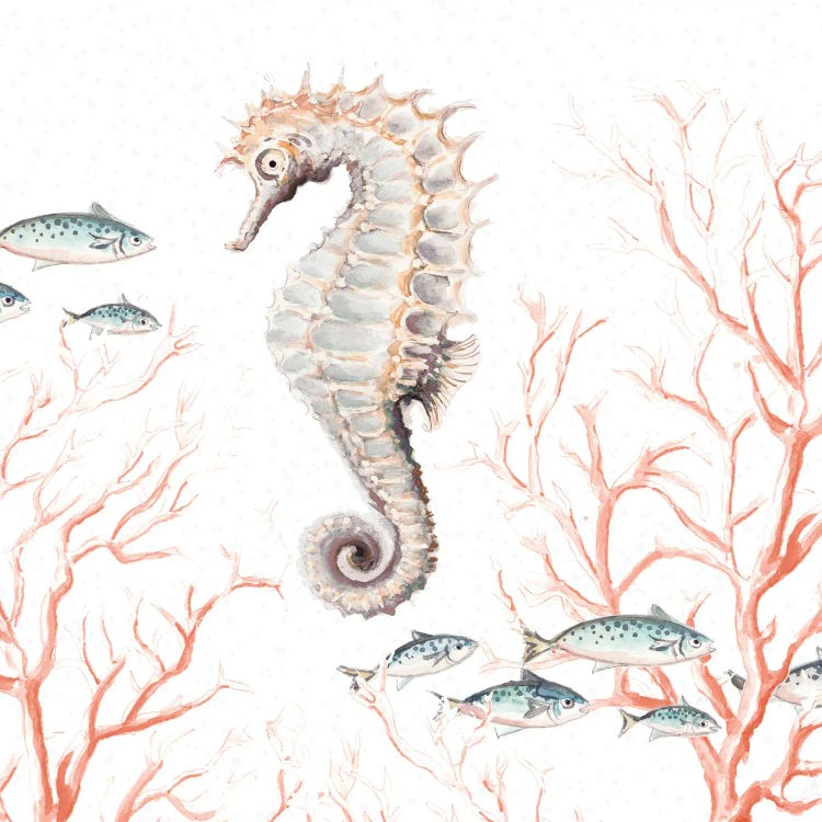 Seahorse On Coral