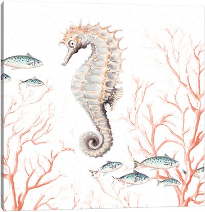 Seahorse On Coral Canvas Art Print - Seahorse Art