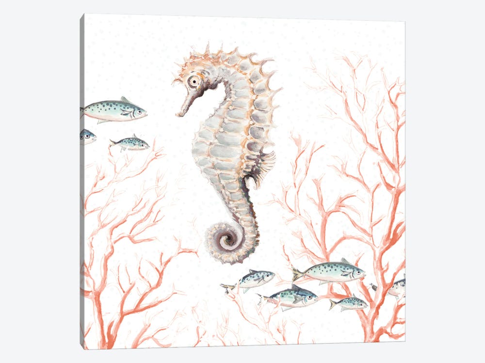 Seahorse On Coral by Patricia Pinto 1-piece Canvas Wall Art