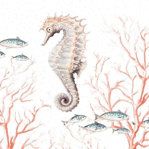 Seahorses: Seahorse On Coral by Patricia Pinto
