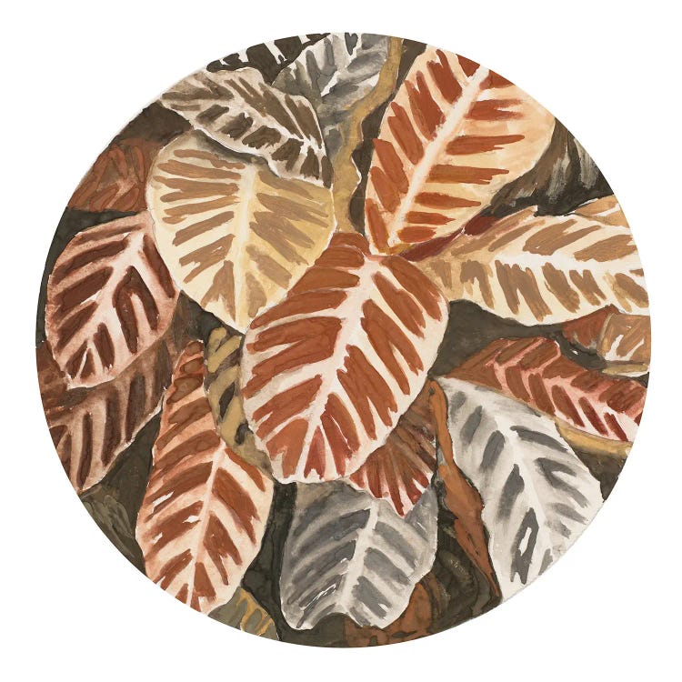 Sepia Leaves In Circle