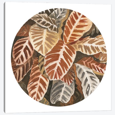 Sepia Leaves In Circle Canvas Print #PPI886} by Patricia Pinto Canvas Art Print
