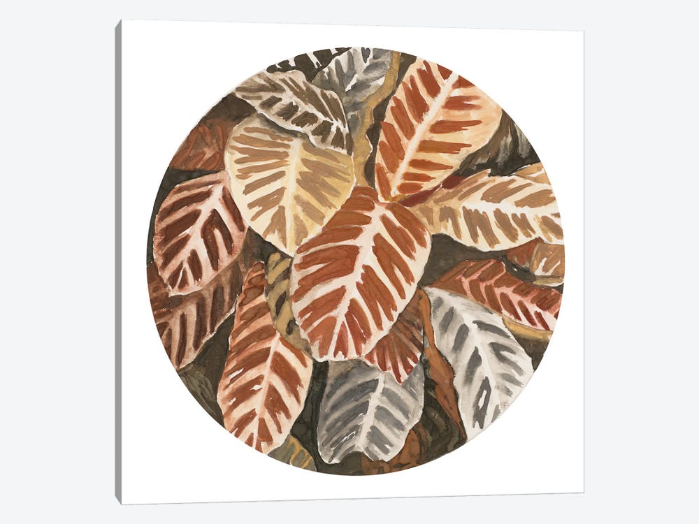 Sepia Leaves In Circle by Patricia Pinto 1-piece Canvas Wall Art