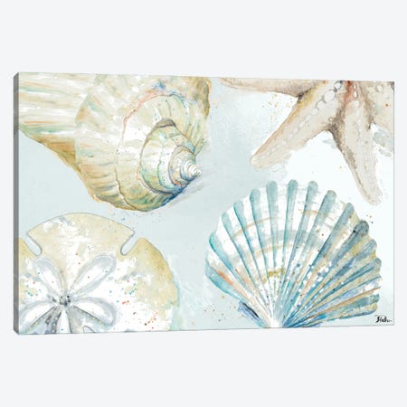 Shell Collectors Canvas Print #PPI887} by Patricia Pinto Canvas Art Print
