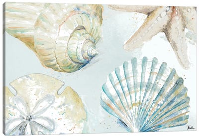 Shell Collectors Canvas Art Print - Sea Shell Art