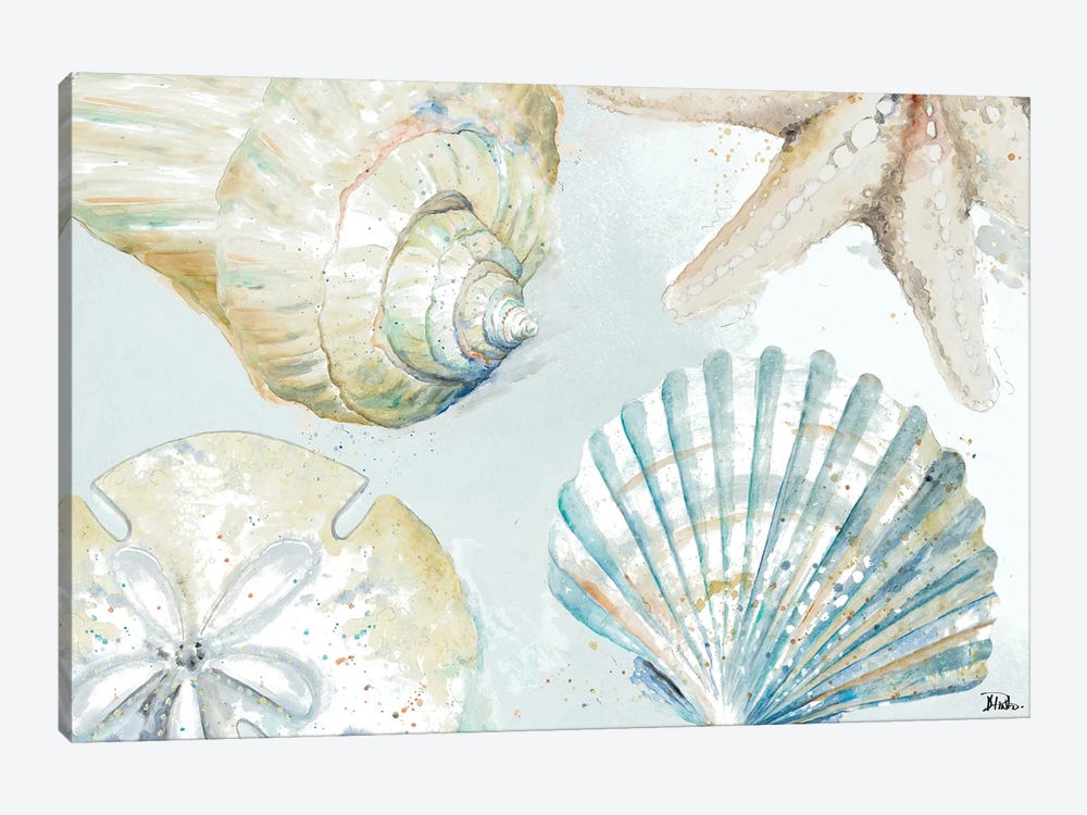 Shell Collectors by Patricia Pinto 1-piece Canvas Art Print