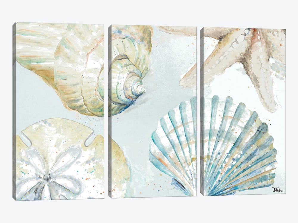 Shell Collectors by Patricia Pinto 3-piece Art Print