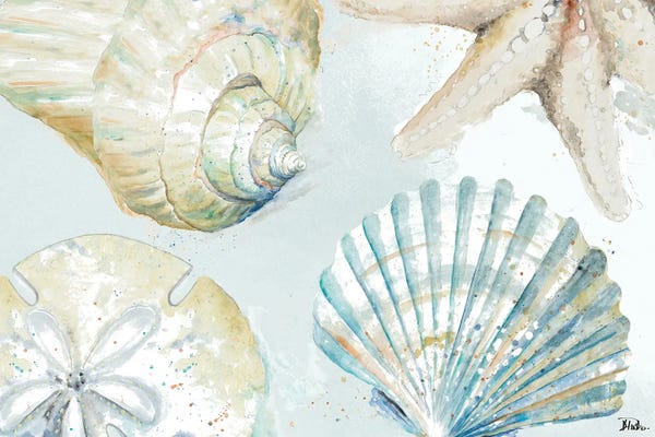 Sea Shells: Shell Collectors by Patricia Pinto