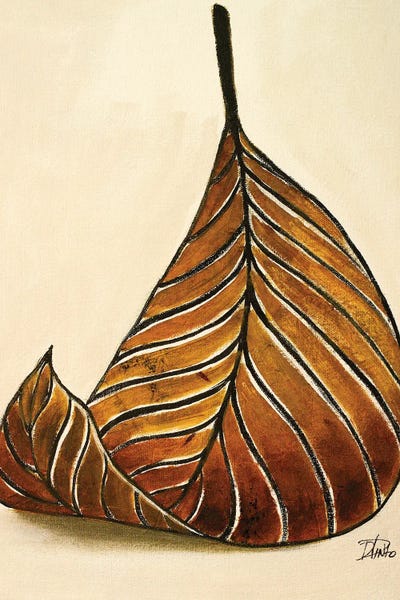 Simple & Interesting II by Patricia Pinto canvas print