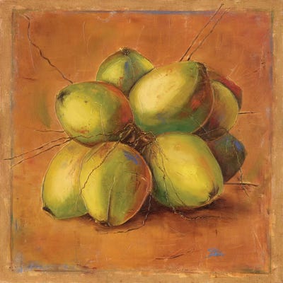 Cocos Locos II by Patricia Pinto multi panel art