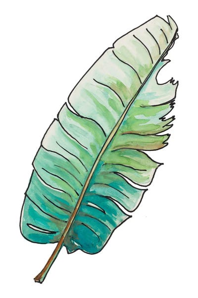 Travelers Palm Leaf by Patricia Pinto canvas print