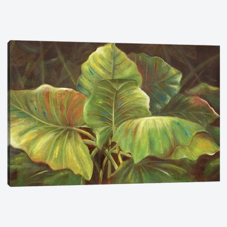 Tropical Green Canvas Print #PPI907} by Patricia Pinto Canvas Wall Art