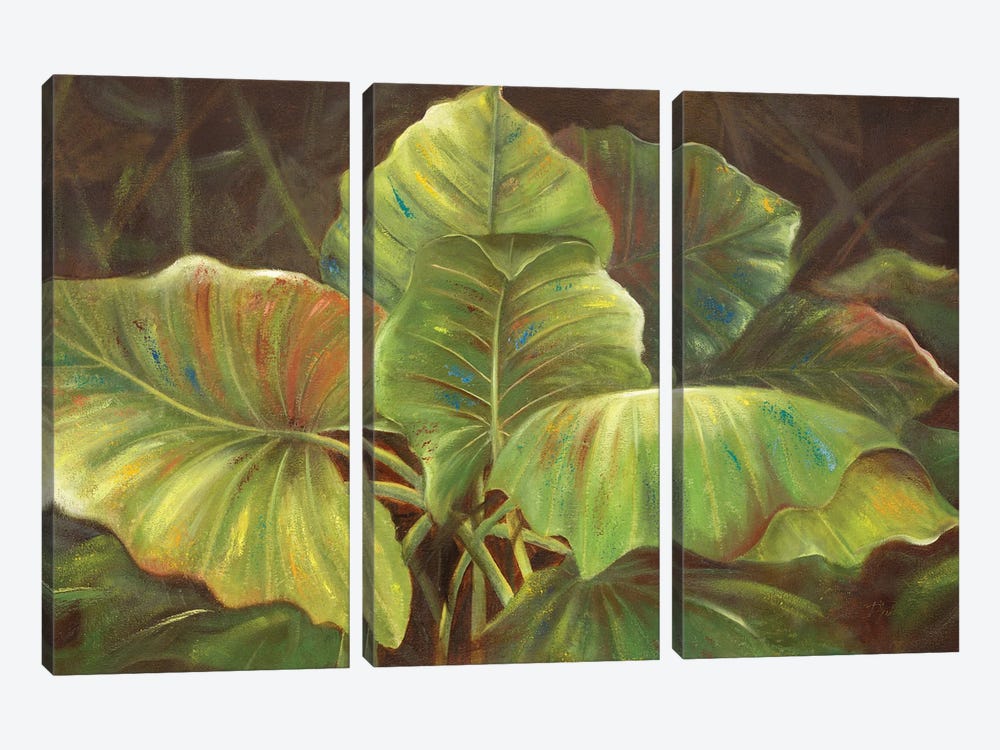Tropical Green by Patricia Pinto 3-piece Canvas Art