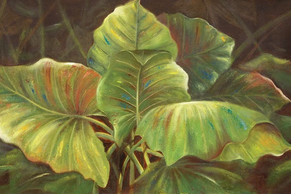 Patricia Pinto: Tropical Green by Patricia Pinto