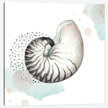 Turquoise Ocean Nautilus Canvas Print #PPI911} by Patricia Pinto Canvas Art