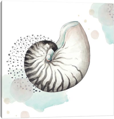 Turquoise Ocean Nautilus Canvas Art Print