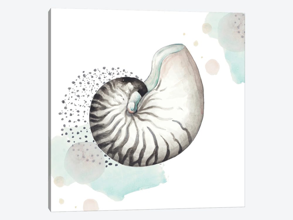 Turquoise Ocean Nautilus by Patricia Pinto 1-piece Canvas Print