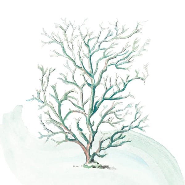 Coral: Turquoise Ocean Sea Coral by Patricia Pinto