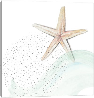 Turquoise Ocean Treasure Star Canvas Art Print - Starfish Art