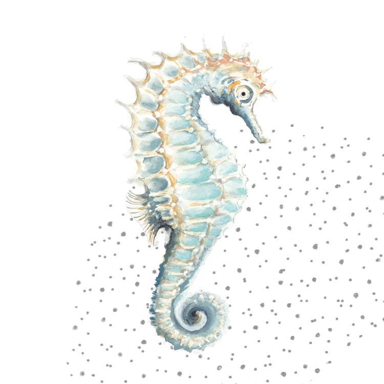 Turquoise Seahorse