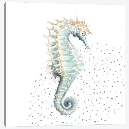 Turquoise Seahorse Canvas Print #PPI915} by Patricia Pinto Canvas Print