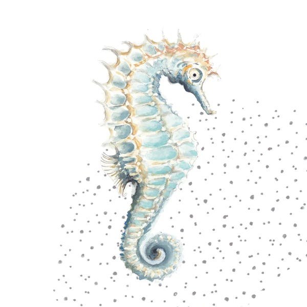 Seahorses: Turquoise Seahorse by Patricia Pinto