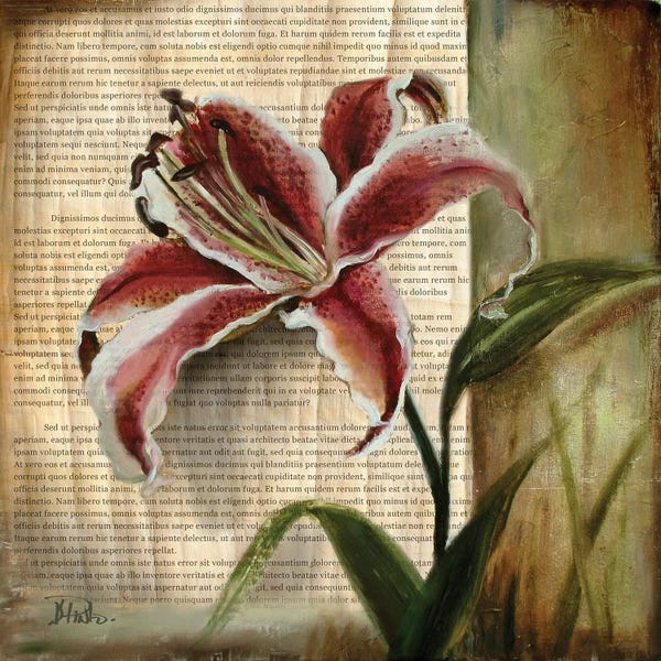 Botanical Illustrations: Vintage Studio I by Patricia Pinto